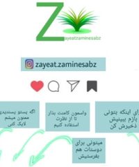 شركت ضايعات زمين سبز