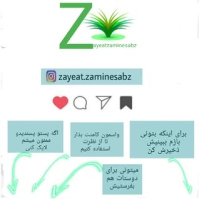 شركت ضايعات زمين سبز